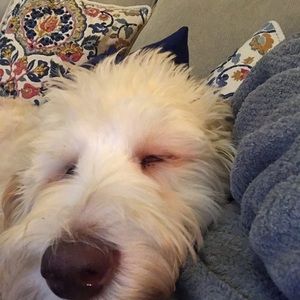 Meet your Posher, Anita